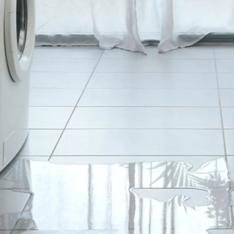 Appliance Leak Cleanup in Rockford, IL