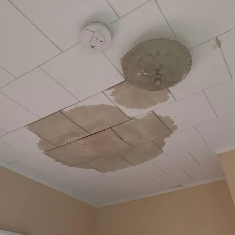 Ceiling Water Damage Repair in Rockford, IL