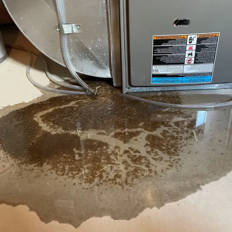 Pipe Burst and Leak Restoration in Rockford, IL